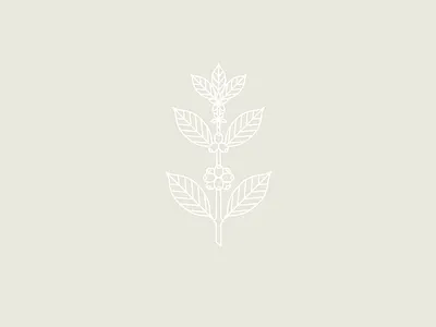 Coffee Plant brand and identity branding coffee coffee bar coffee plant icon illustration line art logo logo design plant