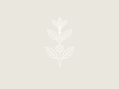 Coffee Plant brand and identity branding coffee coffee bar coffee plant icon illustration line art logo logo design plant