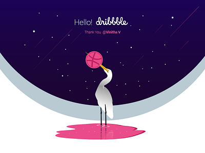 Hello Dribbble bird blue bright coloful debute design dribbble entry hello dribble illuatration modern reflection shots sky thank you ui