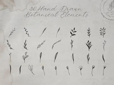 Romantic Signs - Graphic Collection botanical elements branding design floral illustration illustration logo logotype typography vector vector illustration wedding decor wedding font