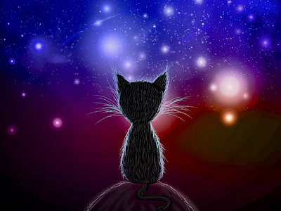 Cat gazing into the stars ⭐️ abstract illustration cat digital design