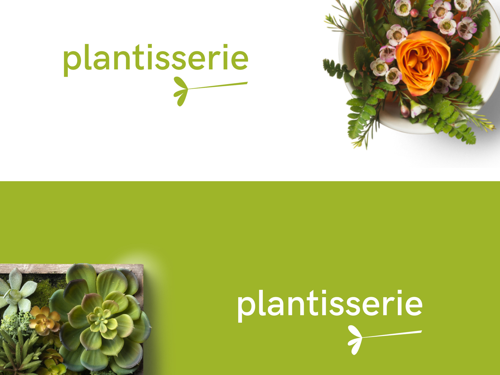 Example of Plantisserie Logo Design