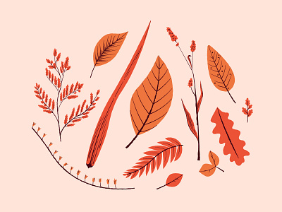 Vectober 10/09 - Precious autumn inktober inktober 2018 leaves nature orange plants vectober vectober2018