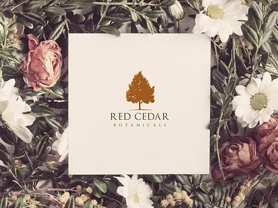 Logotype for Red Cedar! brand brand identity brandidentity branding creativity designed inspiration inspire logo design logotype nature tree vintage
