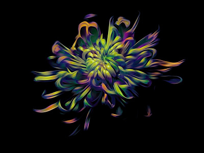 Flower abstract abstract art flower nature petals