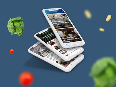 Vegan News App app food interface iphone iphonex iphonexs news sketch ui vegan vegetable veggie