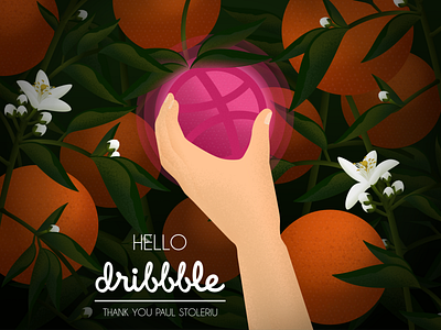 Hello, Dribbble! citrus citrus farm dribbble dribbble debut first shot flower fruit hello orange blossoms orange picking oranges vector