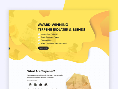 Redesigning Landing Page design illustration shadow typography ui ux web website