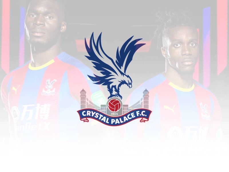 Crystal Palace Logo Animation - Premier League 2018/2019 animation crystal gif logo palace premierleague