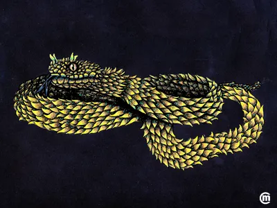 Inktober 2018 Day 1 Poisonous bushviper dailydrawing day1 ink inkillustration inkpens inktober inktober2018