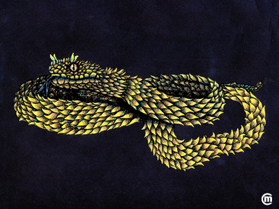 Inktober 2018 Day 1 Poisonous bushviper dailydrawing day1 ink inkillustration inkpens inktober inktober2018