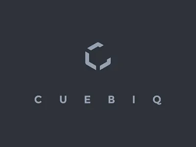 Cuebiq branding data intelligence logo new york city