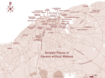 H Withoutmakeup book cartography illustration map vector