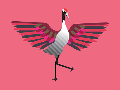 Japanese Crane 2d colour crane design endangered illustration illustrator japan japanese japanese crane nature shape