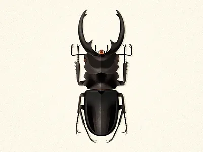 Odontolabis Intermedia beetle biodiversity bug coleoptera design illustration insect odontolabis vector wildlife