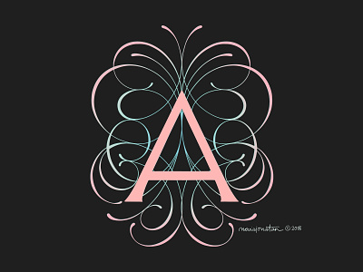 A a alphabet flourish handlettering illustration serif typography