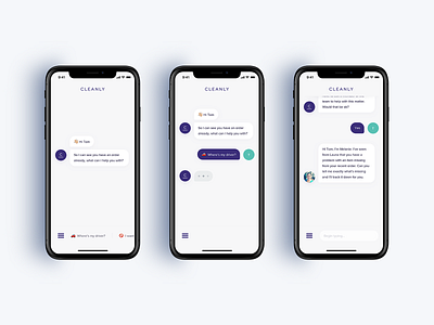 Cleanly chatbot clean cui design interaction laundry