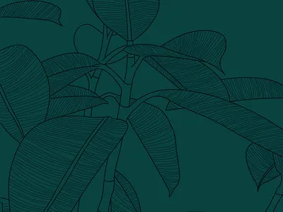 Tropical London branding design graphic design illustration vector