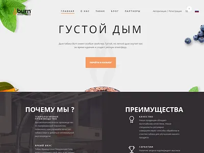 Burn Tobacco - website development and design branding web design agency wordpress design wordpress development