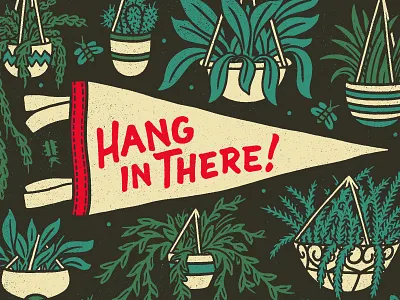 Hang In There Greeting Card card ferns foliage get well greeting card hang in there hanging plants nicholas moegly oxford pennant pennant plant plants