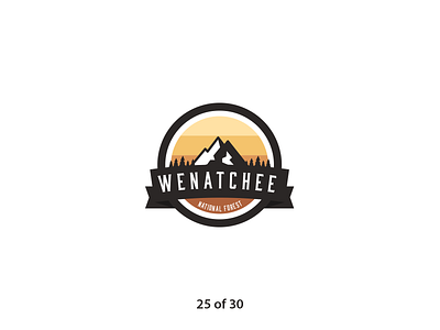 #ThirtyLogos Challenge Day 25 - Wenatchee 30 logos badge brand branding challenge daily design flat forest forest logo graphic graphicdesign icon logo logo a day nature retro thirty day logo challenge thirtylogos vector