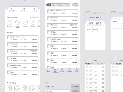 Low Field Prototype low field prototype prototype wireframe