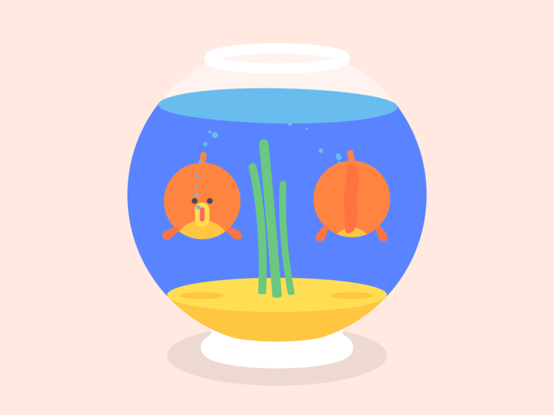 Goldfish