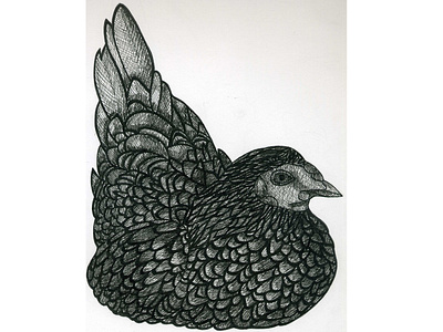 Inktober day 5: 'chicken' Drew a chicken. animal black and white chicken ink inkart inktober inktober 2018 october pen pigment pigment pen traditional