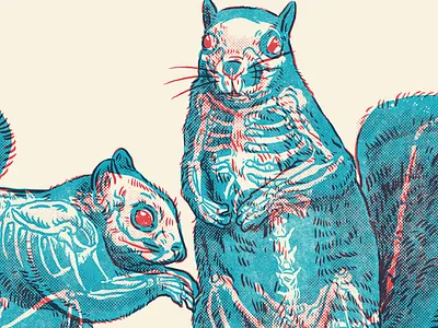 Squirrels creature design drawing gig poster illustration monsters xray