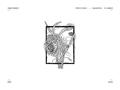 Inktober 09 - Precious cactus flower ink inktober inktober 2018 kadupul flower precious priceless