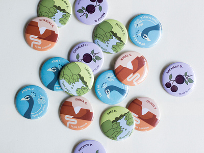 Button set for the Carolina Union buttons collateral illustration print design