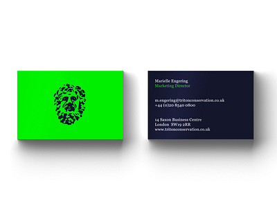 Triton Business Card