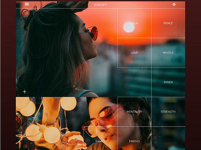 Serenity design template ui ux ux design web design website wordpress wp