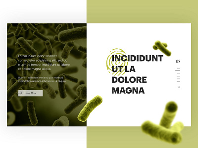 Medicine Slider art direction green medicine slider typography ui web design