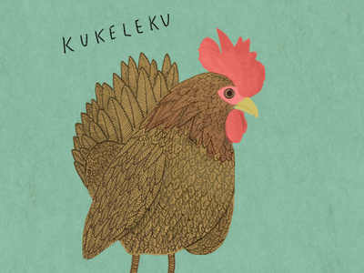 Rooster bird bird illustration illustration rooster