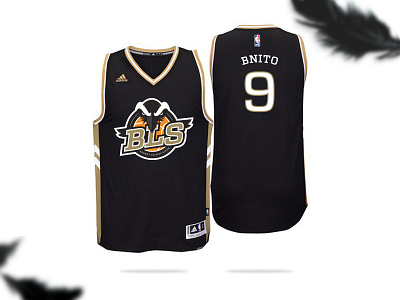 Basketball jersey - BLS basketball basketball logo bird logo jersey sport logo