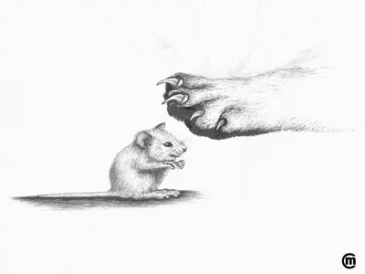 Inktober Day 11 Cruel art artsy black blackandwhite cat claw cruel dailydrawing drawing illustration ilustracion ink inktober inktober2018 inktoberday myart traditionalart