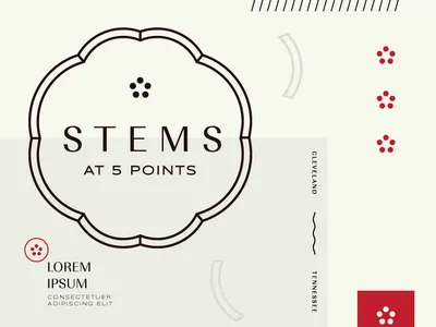 Stems initial option A branding flower shop identity logo