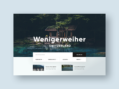 Booking Website booking concept design search travel typogaphy ui web website