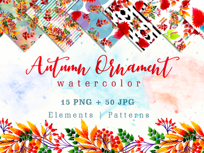 40 Autumn Illustration Sets autumn branding fall illustration inpiration png watercolor webdesign