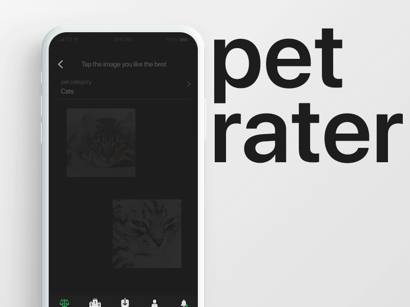 Voting process animation app motion pet business rating social app ui deisgn ux design ux ui design