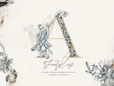 Stained Glass Alphabet & Graphics alphabet alphabets autumn background branding clipart concept design floral flowers geometric frames gold graphics illustration illustrations logo modern watercolor wedding