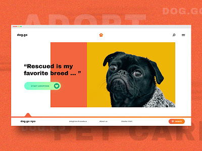 dog.do - Pet Adoption Web Design animation art art direction concept creative dog flat interaction interaction design landing page minimal pet studio ui uiux vet visual visual artist web web design