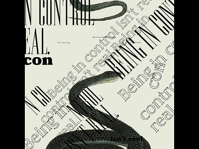 Control Isn't Real design layers layout type typography