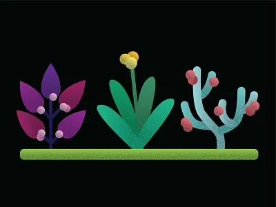 Willflower Illustration app design design illustration plant illustration vector