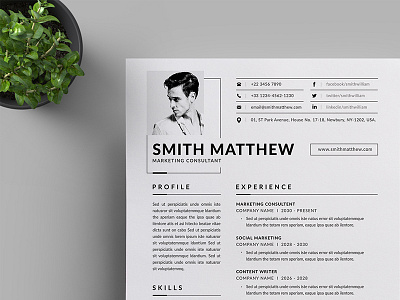 Resume/CV a4 branding business business letterhead clean corporate corporate identity cv template docx letterhead modern resume professional professional resume resume simple stationery us letter vector word word template