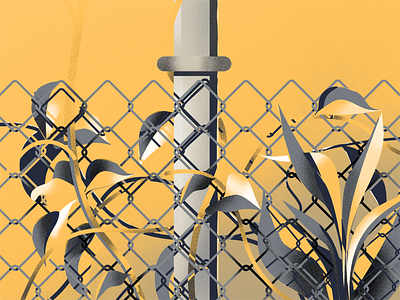 guarded fence guarded illustration illustration art inktober orange