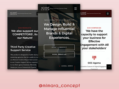 Web Design for Agama Group of Companies branding ui ux web