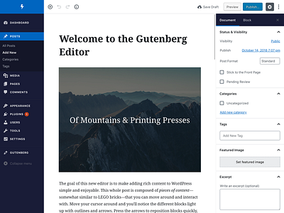 WordPress Admin Theme (Gutenberg)