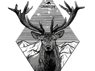 STAY WILD (deer) animation apparel art art book artwork artworked branding deer deer logo design design art designer desing illustration logo sketch symbol tshirt design tshirt graphics wild